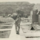 Illustration for article titled M37 Historical Photo Search Success